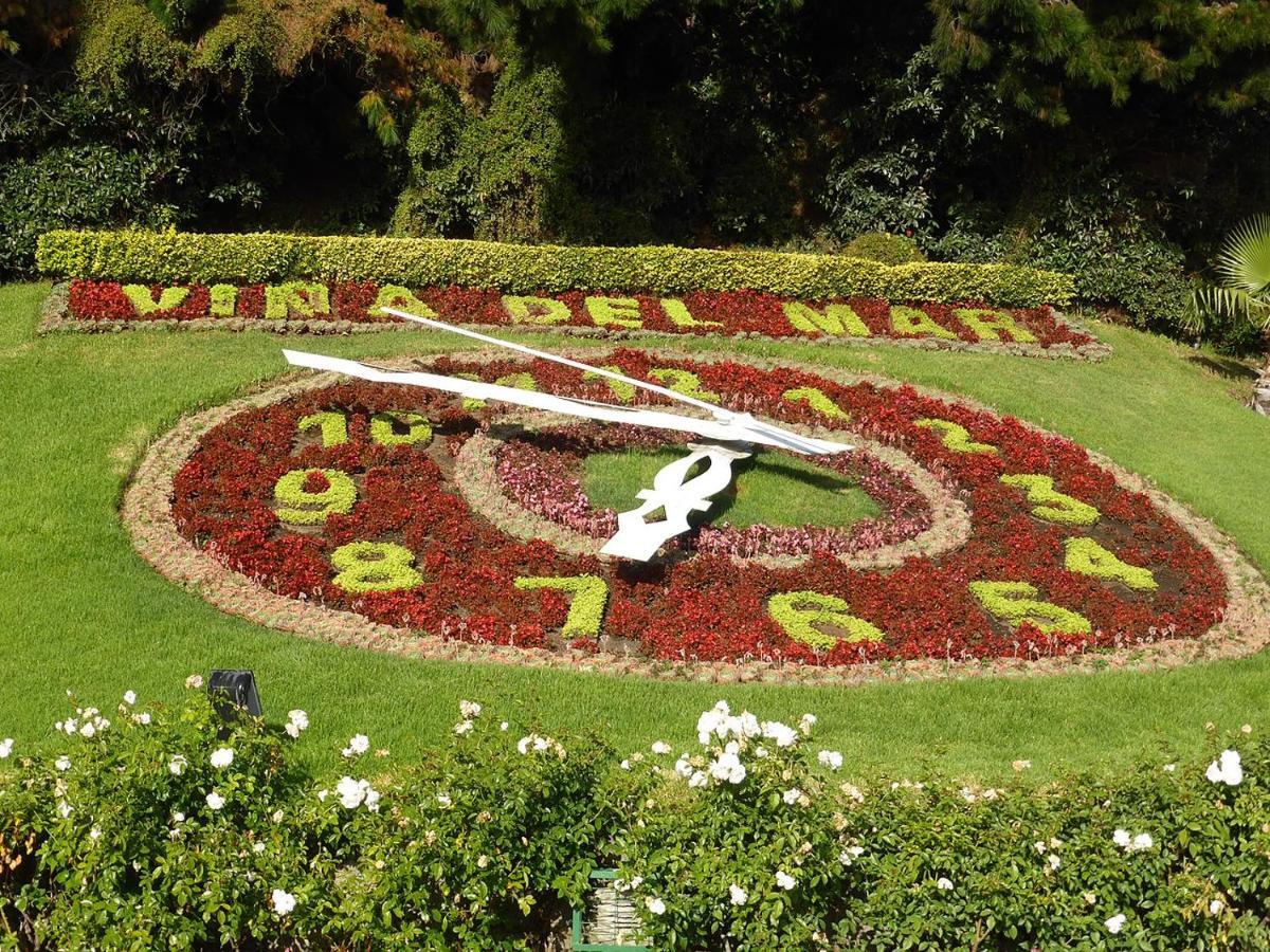 Douglas Vina del Mar